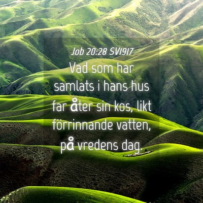 Picture 04 - Job 20:28 SV1917 - Vad som har samlats i hans hus far åter sin kos, - Bible Verse Picture
