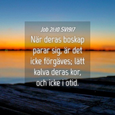Picture 04 - Job 21:10 SV1917 - När deras boskap parar sig, är det icke - Bible Verse Picture
