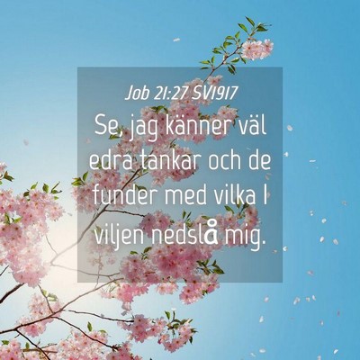 Picture 04 - Job 21:27 SV1917 - Se, jag känner väl edra tankar och de funder - Bible Verse Picture