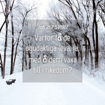 Picture 04 - Job 21:7 SV1917 - Varför få de ogudaktiga leva, ja, med åldern - Bible Verse Picture