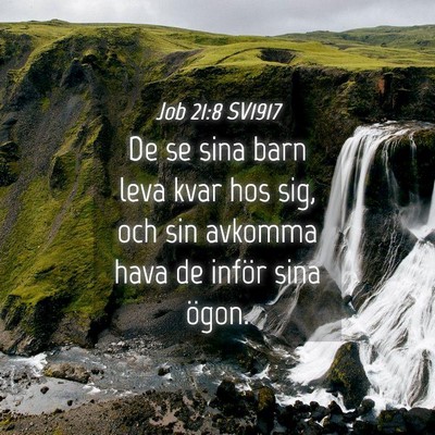 Picture 04 - Job 21:8 SV1917 - De se sina barn leva kvar hos sig, och sin - Bible Verse Picture