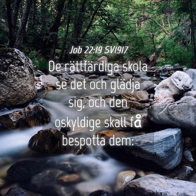 Picture 04 - Job 22:19 SV1917 - De rättfärdiga skola se det och glädja sig, - Bible Verse Picture