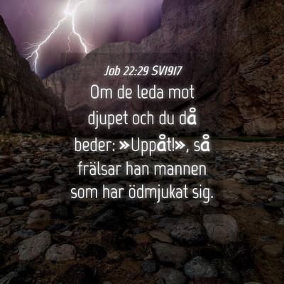Picture 04 - Job 22:29 SV1917 - Om de leda mot djupet och du då beder: - Bible Verse Picture