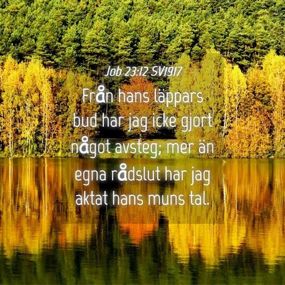 Picture 04 - Job 23:12 SV1917 - Från hans läppars bud har jag icke gjort något - Bible Verse Picture
