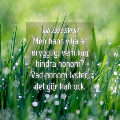 Picture 04 - Job 23:13 SV1917 - Men hans vilja är orygglig; vem kan hindra - Bible Verse Picture