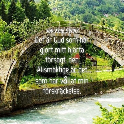 Picture 04 - Job 23:16 SV1917 - Det är Gud som har gjort mitt hjärta försagt, - Bible Verse Picture