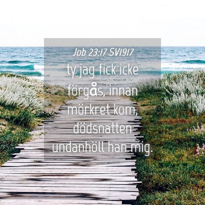 Picture 04 - Job 23:17 SV1917 - ty jag fick icke förgås, innan mörkret kom, - Bible Verse Picture