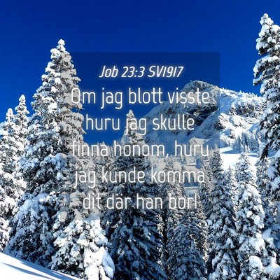 Picture 04 - Job 23:3 SV1917 - Om jag blott visste huru jag skulle finna honom, - Bible Verse Picture