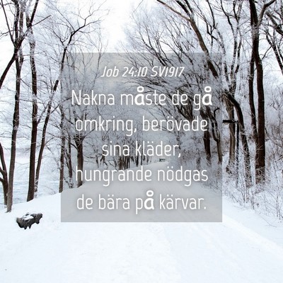 Picture 04 - Job 24:10 SV1917 - Nakna måste de gå omkring, berövade sina - Bible Verse Picture