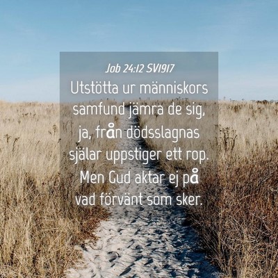 Picture 04 - Job 24:12 SV1917 - Utstötta ur människors samfund jämra de sig, - Bible Verse Picture