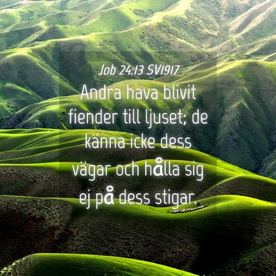 Picture 04 - Job 24:13 SV1917 - Andra hava blivit fiender till ljuset; de känna - Bible Verse Picture