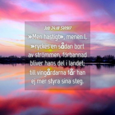 Picture 04 - Job 24:18 SV1917 - »Men hastigt», menen I, »ryckes en sådan bort - Bible Verse Picture