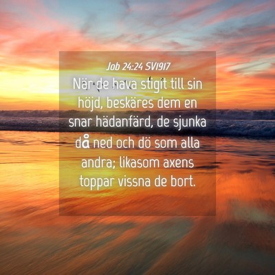 Picture 04 - Job 24:24 SV1917 - När de hava stigit till sin höjd, beskäres dem - Bible Verse Picture