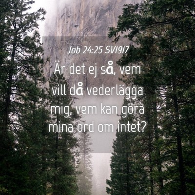 Picture 04 - Job 24:25 SV1917 - Är det ej så, vem vill då vederlägga mig, vem - Bible Verse Picture