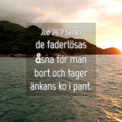 Picture 04 - Job 24:3 SV1917 - de faderlösas åsna för man bort och tager - Bible Verse Picture