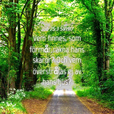 Picture 04 - Job 25:3 SV1917 - Vem finnes, som förmår räkna hans skaror? Och - Bible Verse Picture
