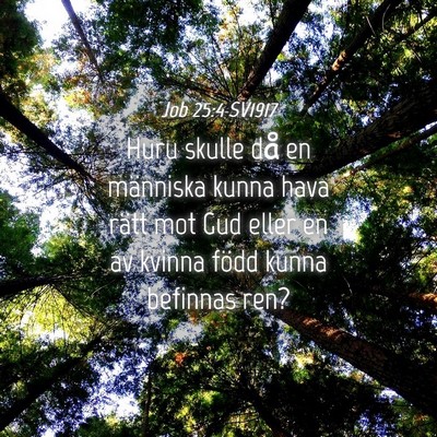 Picture 04 - Job 25:4 SV1917 - Huru skulle då en människa kunna hava rätt mot - Bible Verse Picture