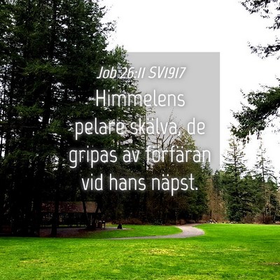 Picture 04 - Job 26:11 SV1917 - Himmelens pelare skälva, de gripas av förfäran - Bible Verse Picture