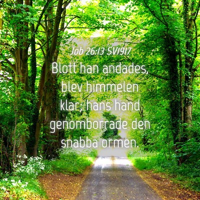 Picture 04 - Job 26:13 SV1917 - Blott han andades, blev himmelen klar; hans hand - Bible Verse Picture