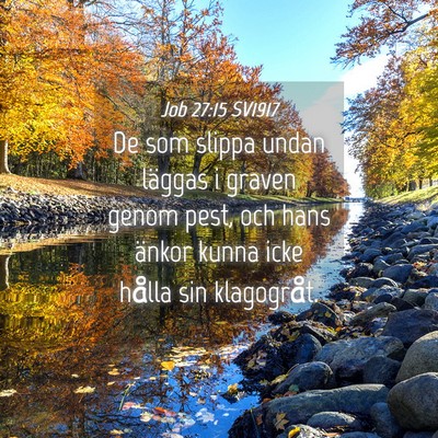 Picture 04 - Job 27:15 SV1917 - De som slippa undan läggas i graven genom pest, - Bible Verse Picture