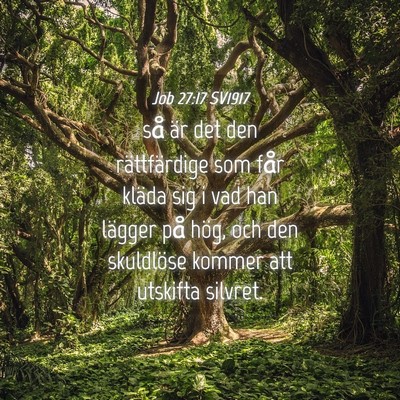 Picture 04 - Job 27:17 SV1917 - så är det den rättfärdige som får kläda sig - Bible Verse Picture