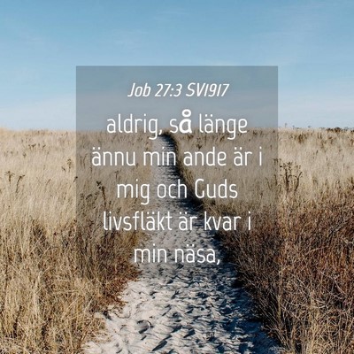 Picture 04 - Job 27:3 SV1917 - aldrig, så länge ännu min ande är i mig och - Bible Verse Picture