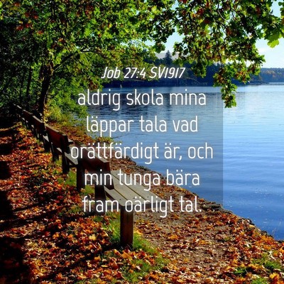 Picture 04 - Job 27:4 SV1917 - aldrig skola mina läppar tala vad orättfärdigt - Bible Verse Picture