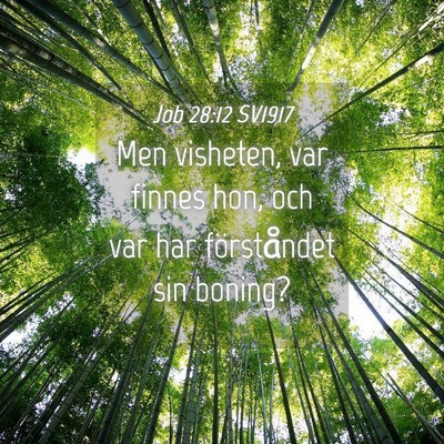 Picture 04 - Job 28:12 SV1917 - Men visheten, var finnes hon, och var har - Bible Verse Picture