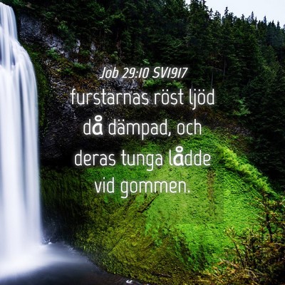 Picture 04 - Job 29:10 SV1917 - furstarnas röst ljöd då dämpad, och deras - Bible Verse Picture