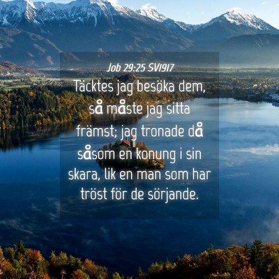 Picture 04 - Job 29:25 SV1917 - Täcktes jag besöka dem, så måste jag sitta - Bible Verse Picture
