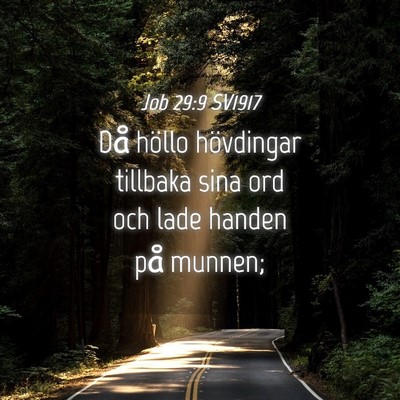 Picture 04 - Job 29:9 SV1917 - Då höllo hövdingar tillbaka sina ord och lade - Bible Verse Picture