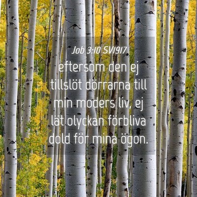 Picture 04 - Job 3:10 SV1917 - eftersom den ej tillslöt dörrarna till min - Bible Verse Picture