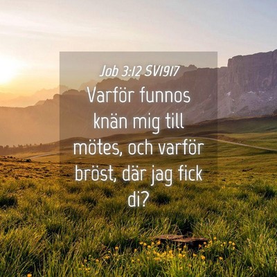 Picture 04 - Job 3:12 SV1917 - Varför funnos knän mig till mötes, och varför - Bible Verse Picture