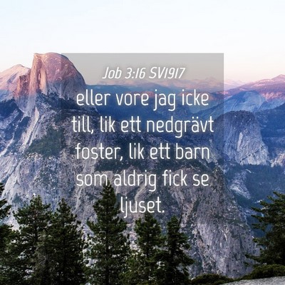 Picture 04 - Job 3:16 SV1917 - eller vore jag icke till, lik ett nedgrävt - Bible Verse Picture