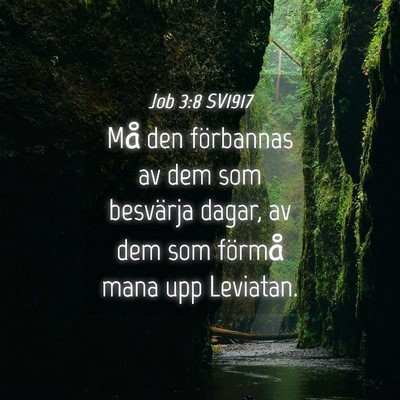 Picture 04 - Job 3:8 SV1917 - Må den förbannas av dem som besvärja dagar, av - Bible Verse Picture