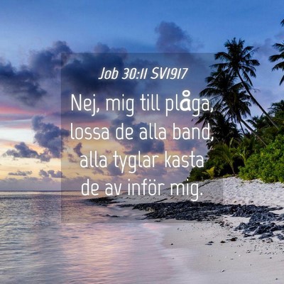 Picture 04 - Job 30:11 SV1917 - Nej, mig till plåga, lossa de alla band, alla - Bible Verse Picture