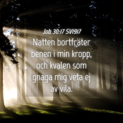 Picture 04 - Job 30:17 SV1917 - Natten bortfräter benen i min kropp, och kvalen - Bible Verse Picture