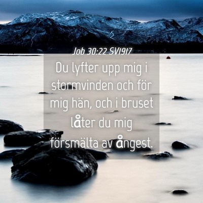 Picture 04 - Job 30:22 SV1917 - Du lyfter upp mig i stormvinden och för mig - Bible Verse Picture