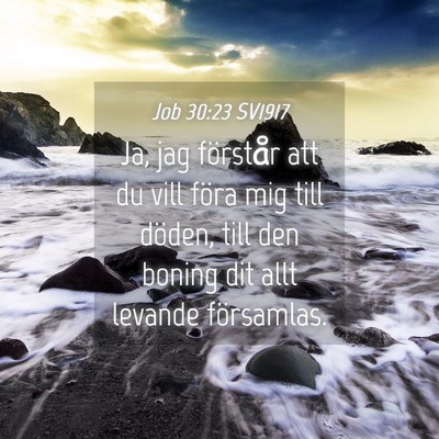 Picture 04 - Job 30:23 SV1917 - Ja, jag förstår att du vill föra mig till - Bible Verse Picture