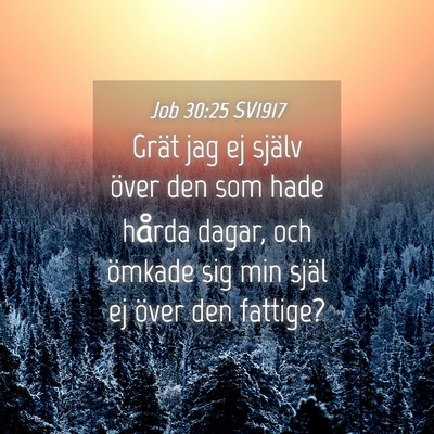 Picture 04 - Job 30:25 SV1917 - Grät jag ej själv över den som hade hårda - Bible Verse Picture
