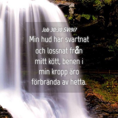 Picture 04 - Job 30:30 SV1917 - Min hud har svartnat och lossnat från mitt - Bible Verse Picture