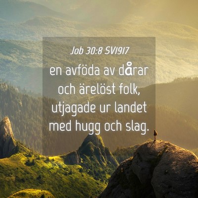Picture 04 - Job 30:8 SV1917 - en avföda av dårar och ärelöst folk, utjagade - Bible Verse Picture