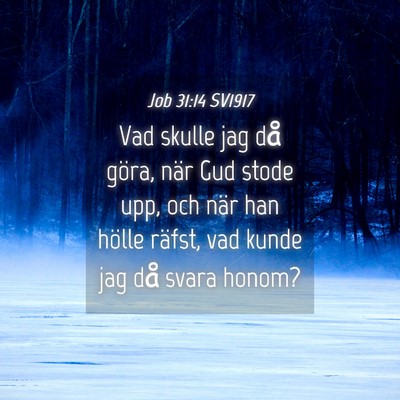 Picture 04 - Job 31:14 SV1917 - Vad skulle jag då göra, när Gud stode upp, och - Bible Verse Picture