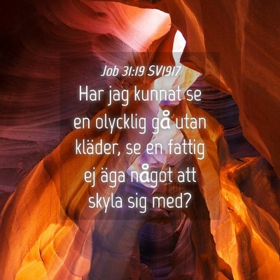 Picture 04 - Job 31:19 SV1917 - Har jag kunnat se en olycklig gå utan kläder, - Bible Verse Picture