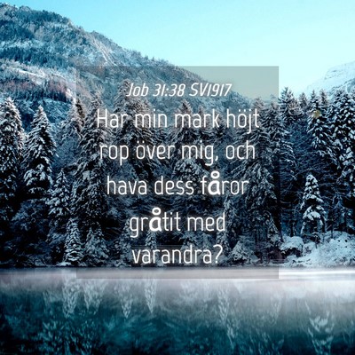 Picture 04 - Job 31:38 SV1917 - Har min mark höjt rop över mig, och hava dess - Bible Verse Picture