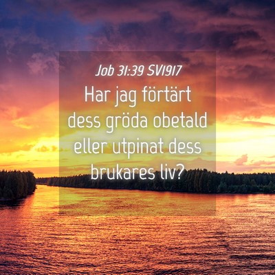 Picture 04 - Job 31:39 SV1917 - Har jag förtärt dess gröda obetald eller - Bible Verse Picture