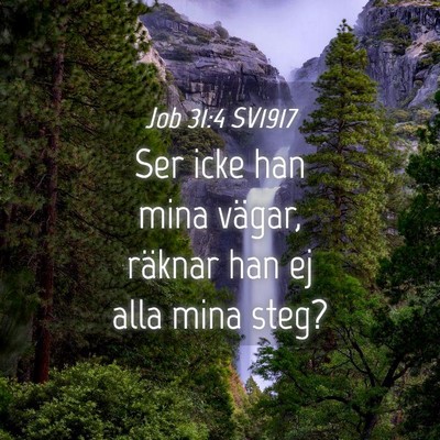 Picture 04 - Job 31:4 SV1917 - Ser icke han mina vägar, räknar han ej alla - Bible Verse Picture