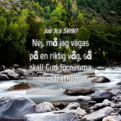 Picture 04 - Job 31:6 SV1917 - Nej, må jag vägas på en riktig våg, så skall - Bible Verse Picture