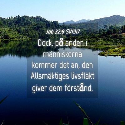 Picture 04 - Job 32:8 SV1917 - Dock, på anden i människorna kommer det an, den - Bible Verse Picture