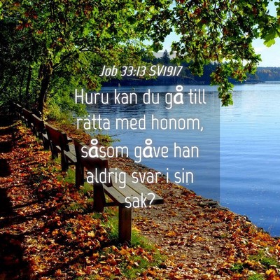 Picture 04 - Job 33:13 SV1917 - Huru kan du gå till rätta med honom, såsom - Bible Verse Picture